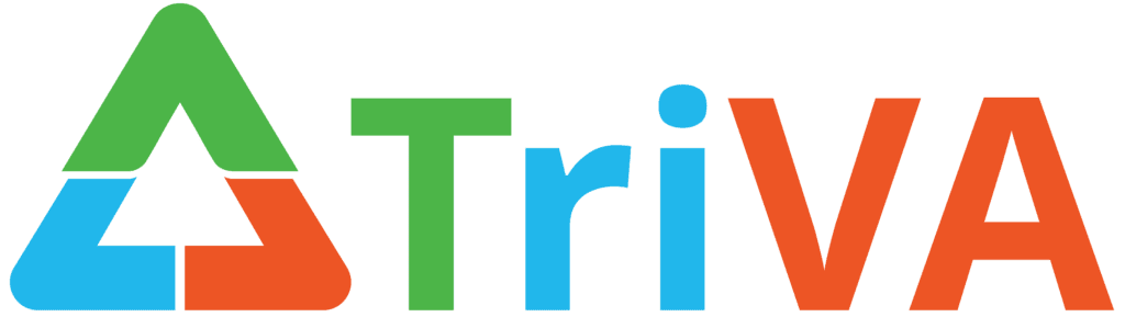 Triva Global E commerce agency